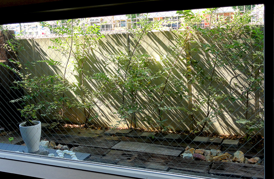 本巣北方・hairsalon xin-fu