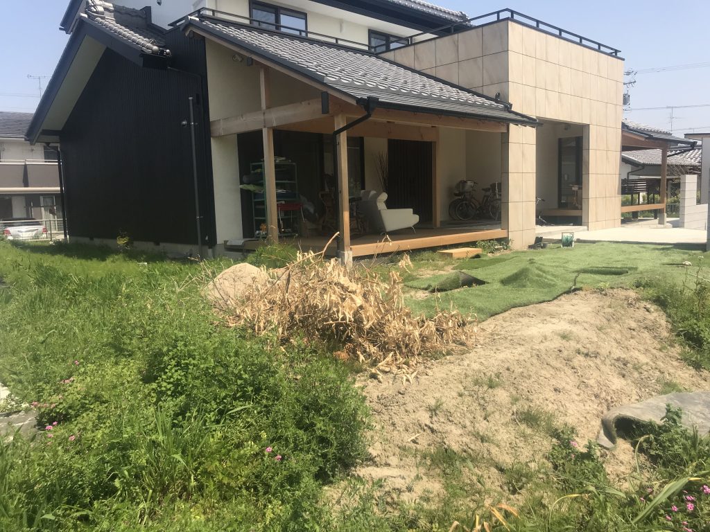 家周りは雑草で荒れています