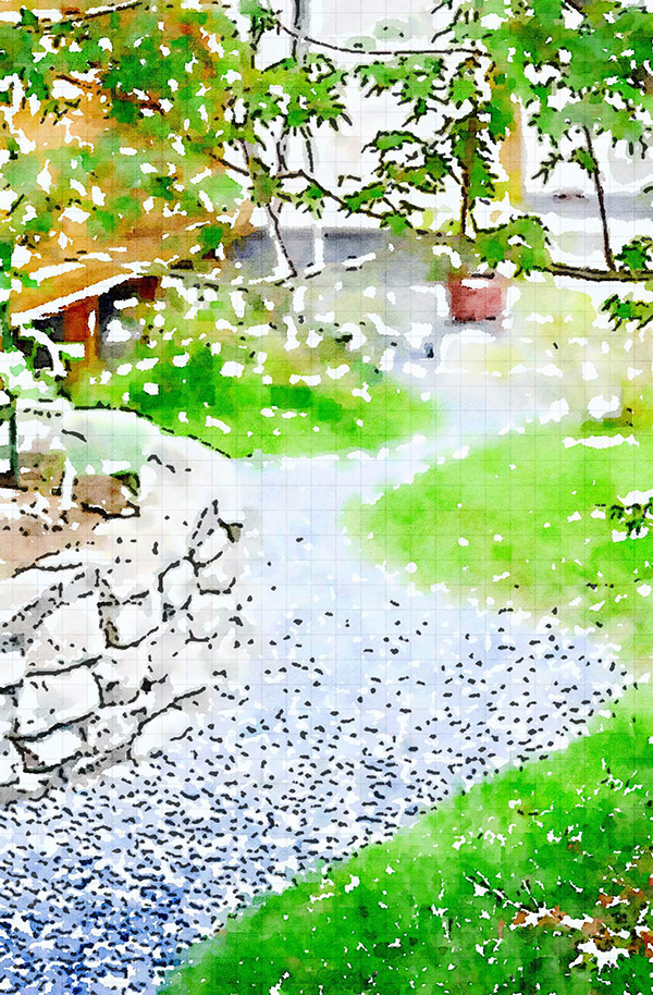 大垣・菅野の庭