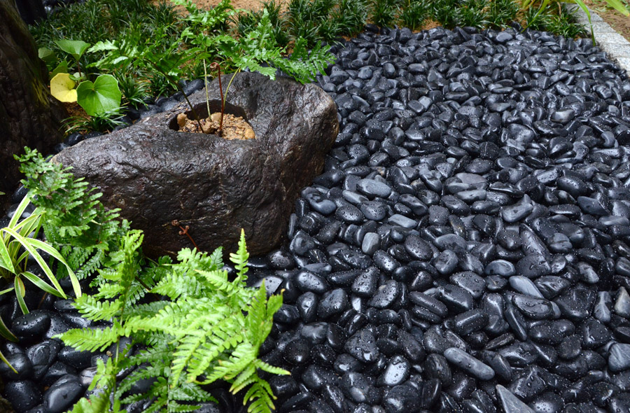 愛知・豊橋の庭
