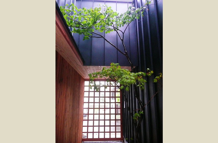 岐阜・岩田東の庭