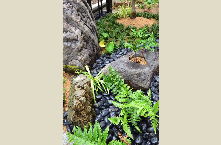 愛知・豊橋の庭