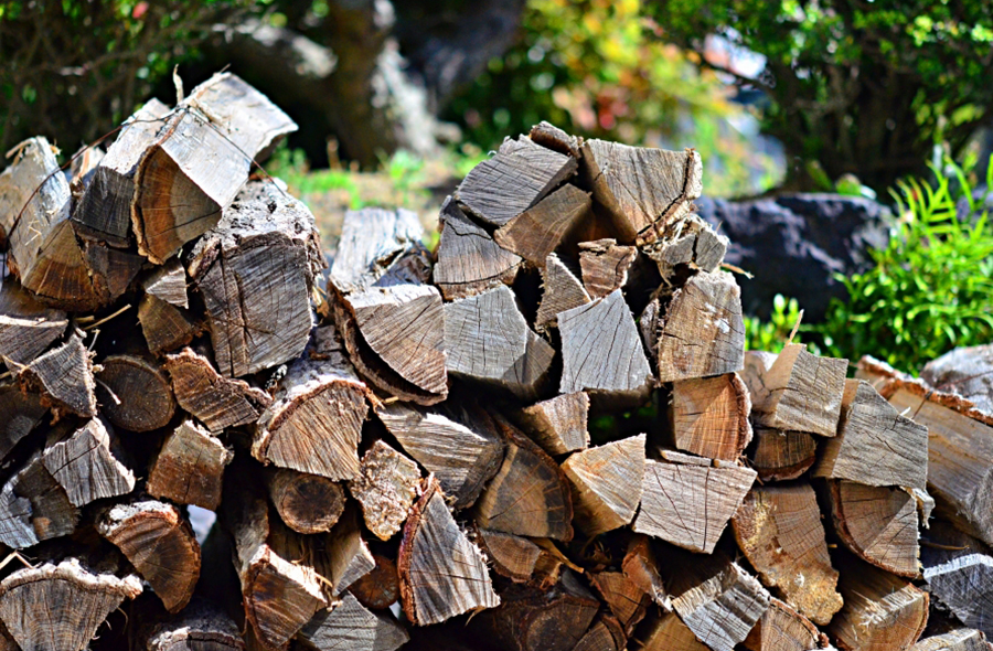 揖斐・小島の庭