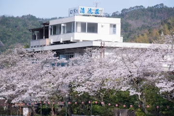 Misasa Onsen Seiryuso