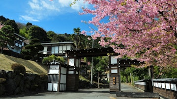 Ito Onsen Yokohama Fujiyoshi Izuten