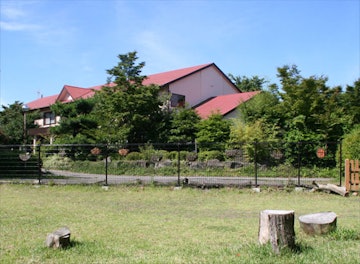 Ito Onsen Apple Seed