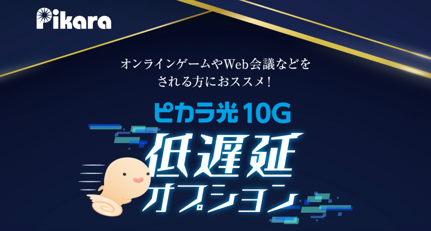 低遅延オプションとは