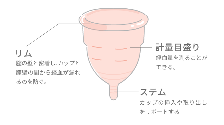 月経カップの使い方｜スマルナ