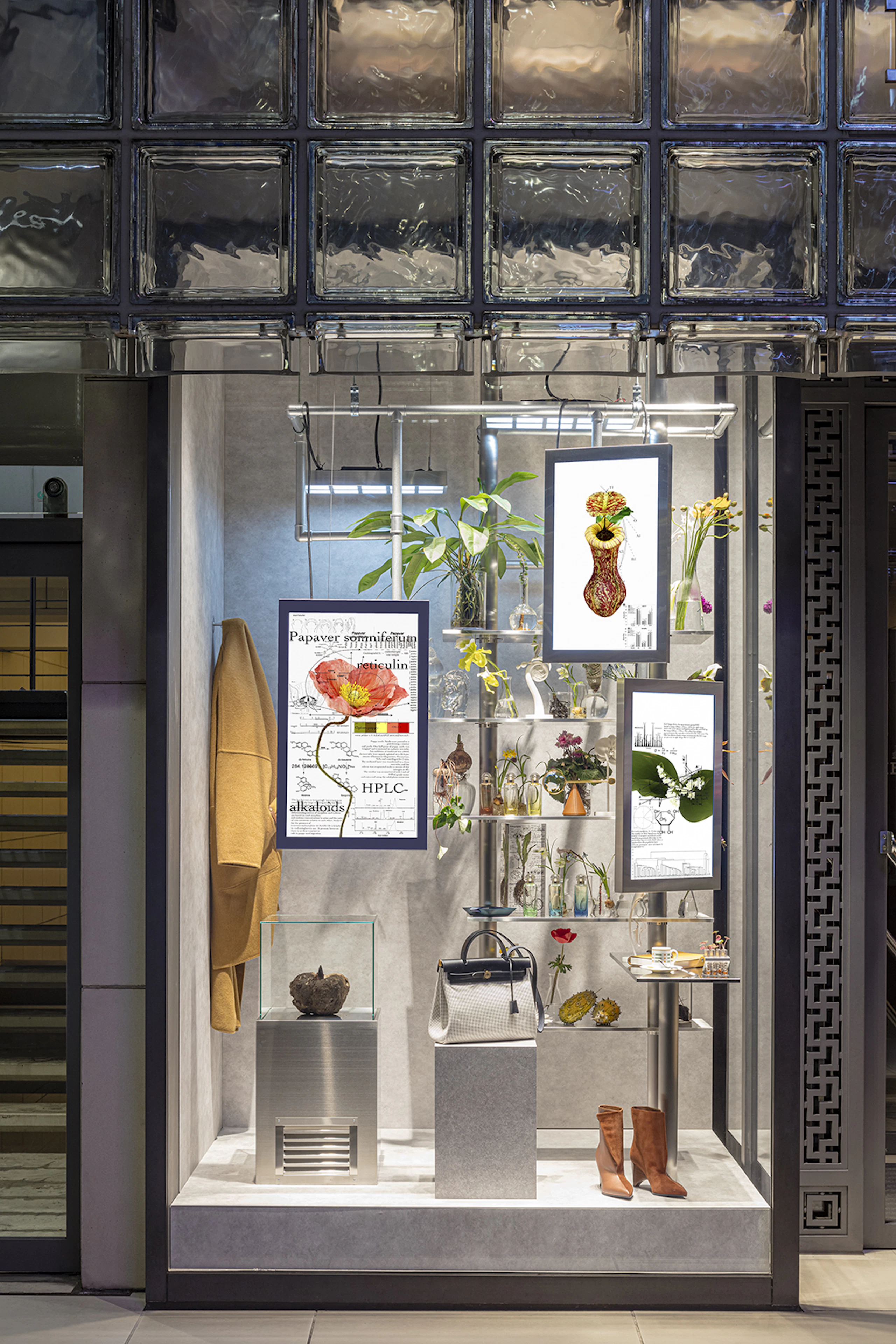 Window Display 「植物の謎」 The Botanic Enigma | AMKK（東信, 花樹
