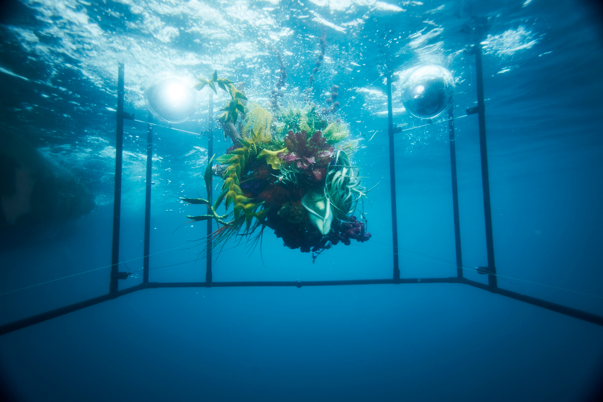 In Bloom #3: SEPHIROTHIC FLOWER: Diving into the Unknown