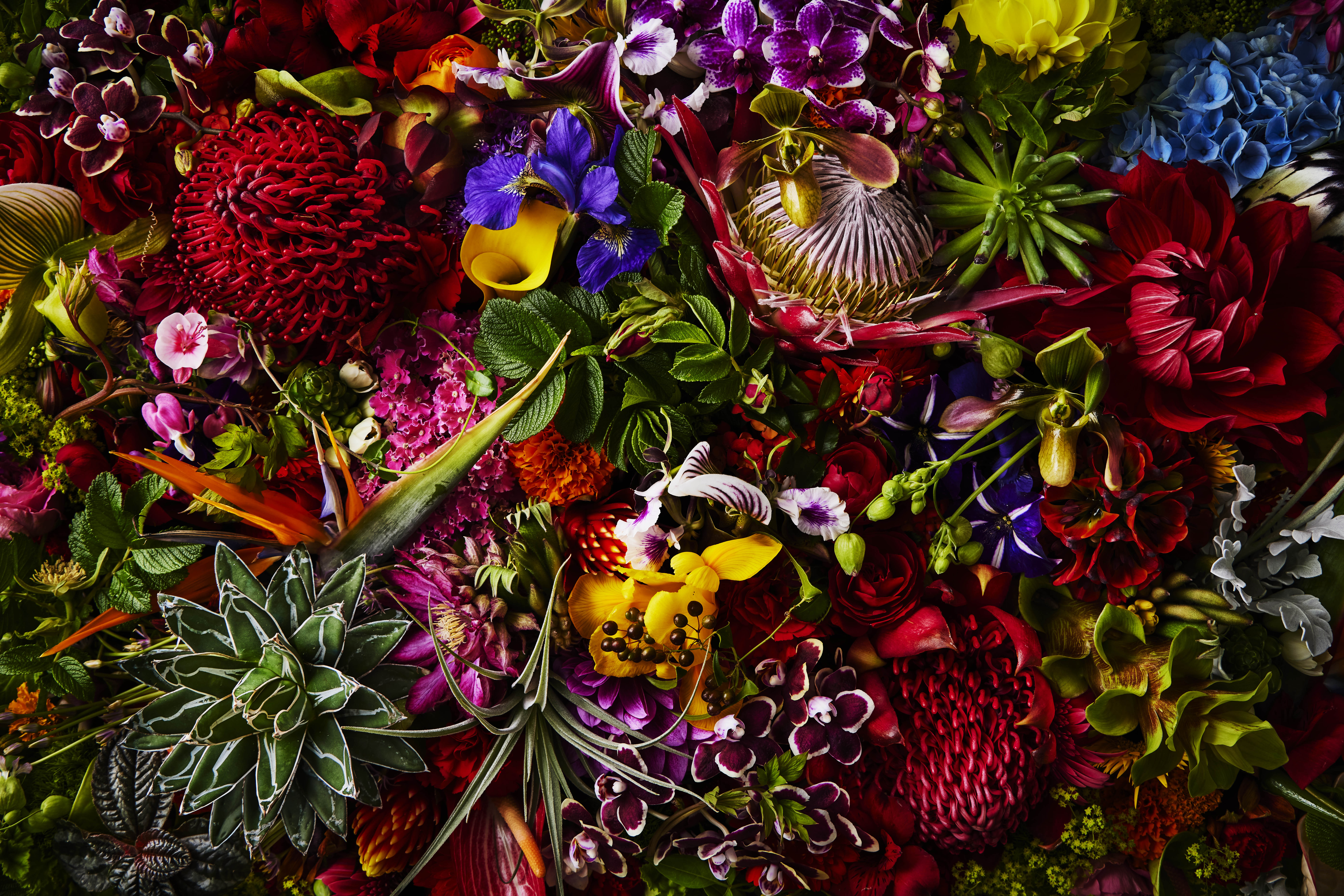 JARDINS des FLEURS