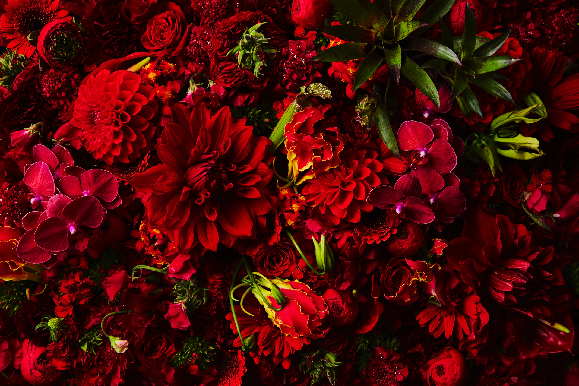 メインイメージPC