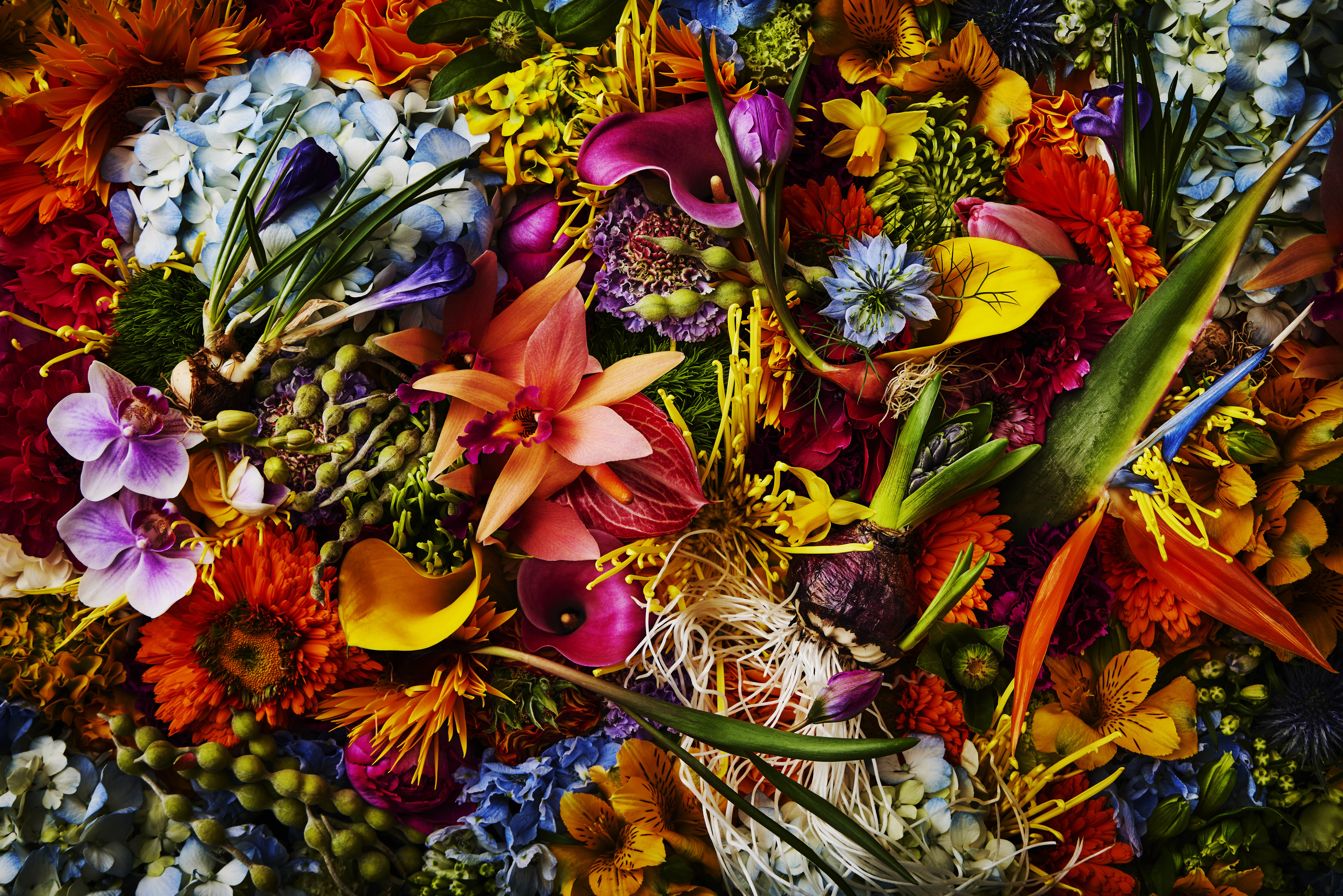 メインイメージPC