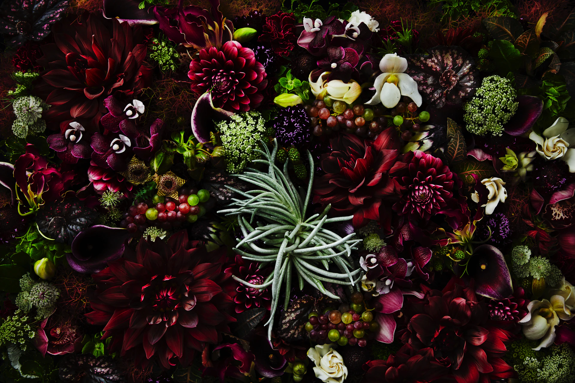 メインイメージPC