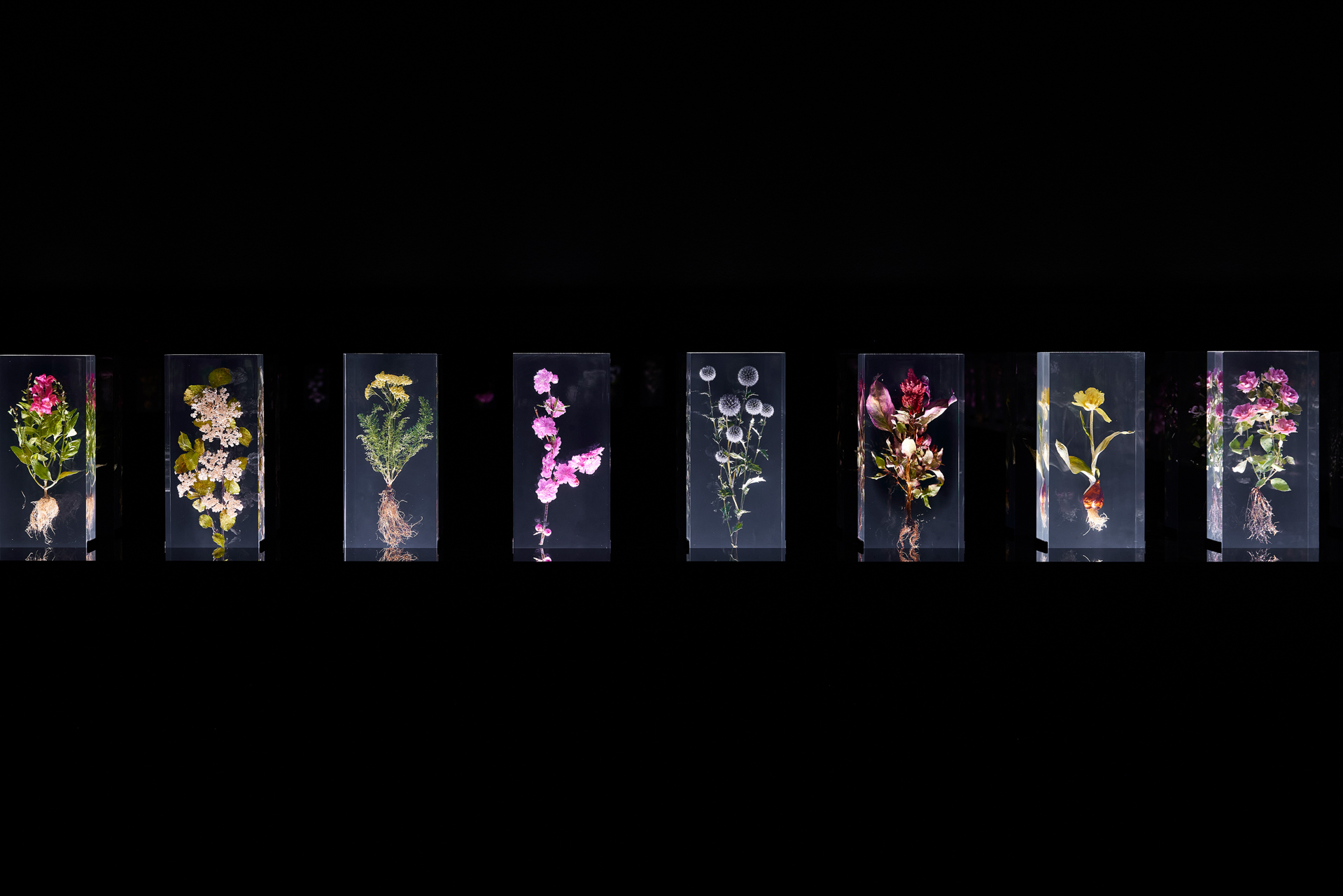 NGV Triennial | AMKK（東信, 花樹研究所）