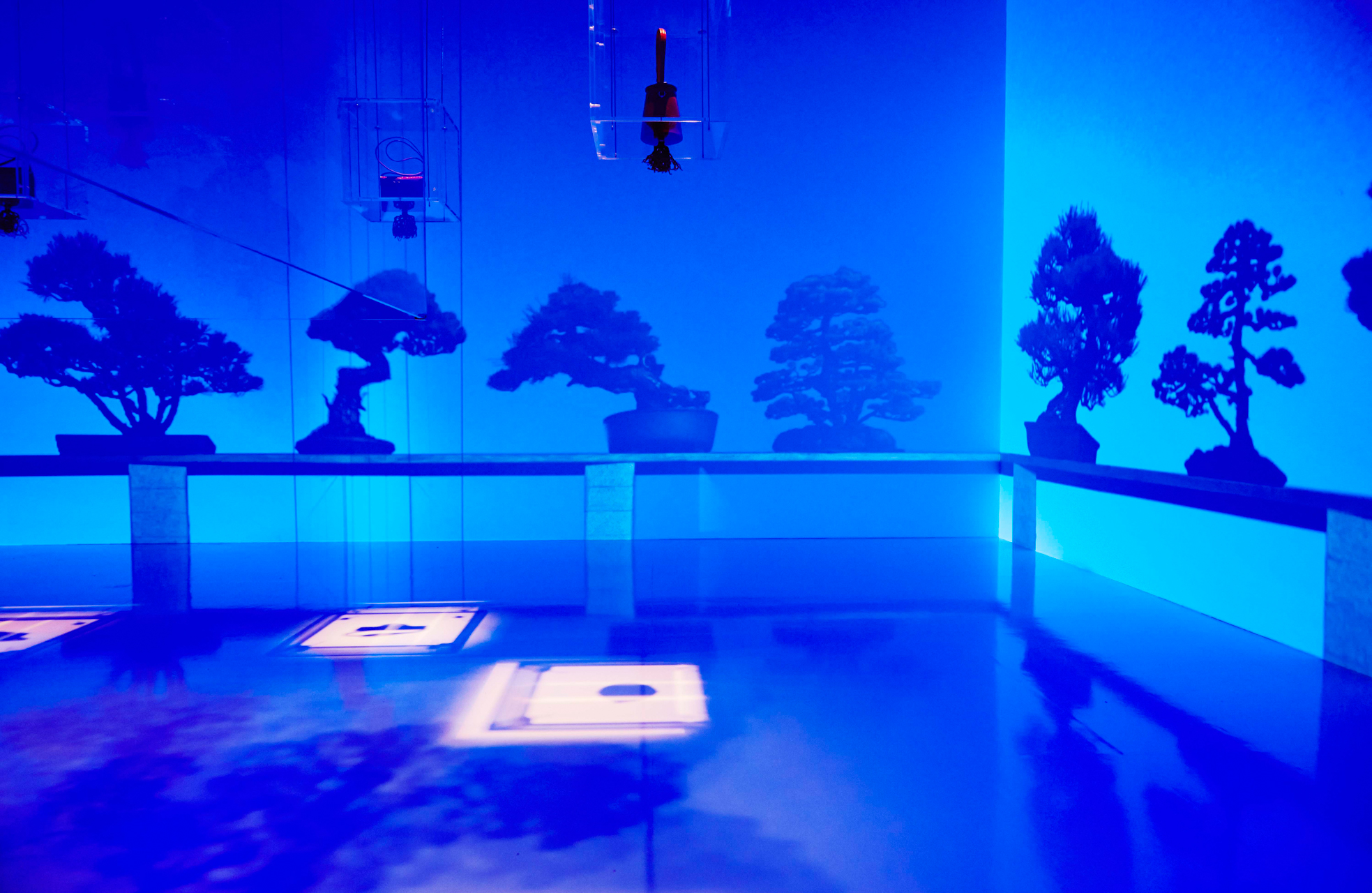 HERMÈS EXHIBITION “LEATHER FOREVER” | AMKK（東信, 花樹研究所）
