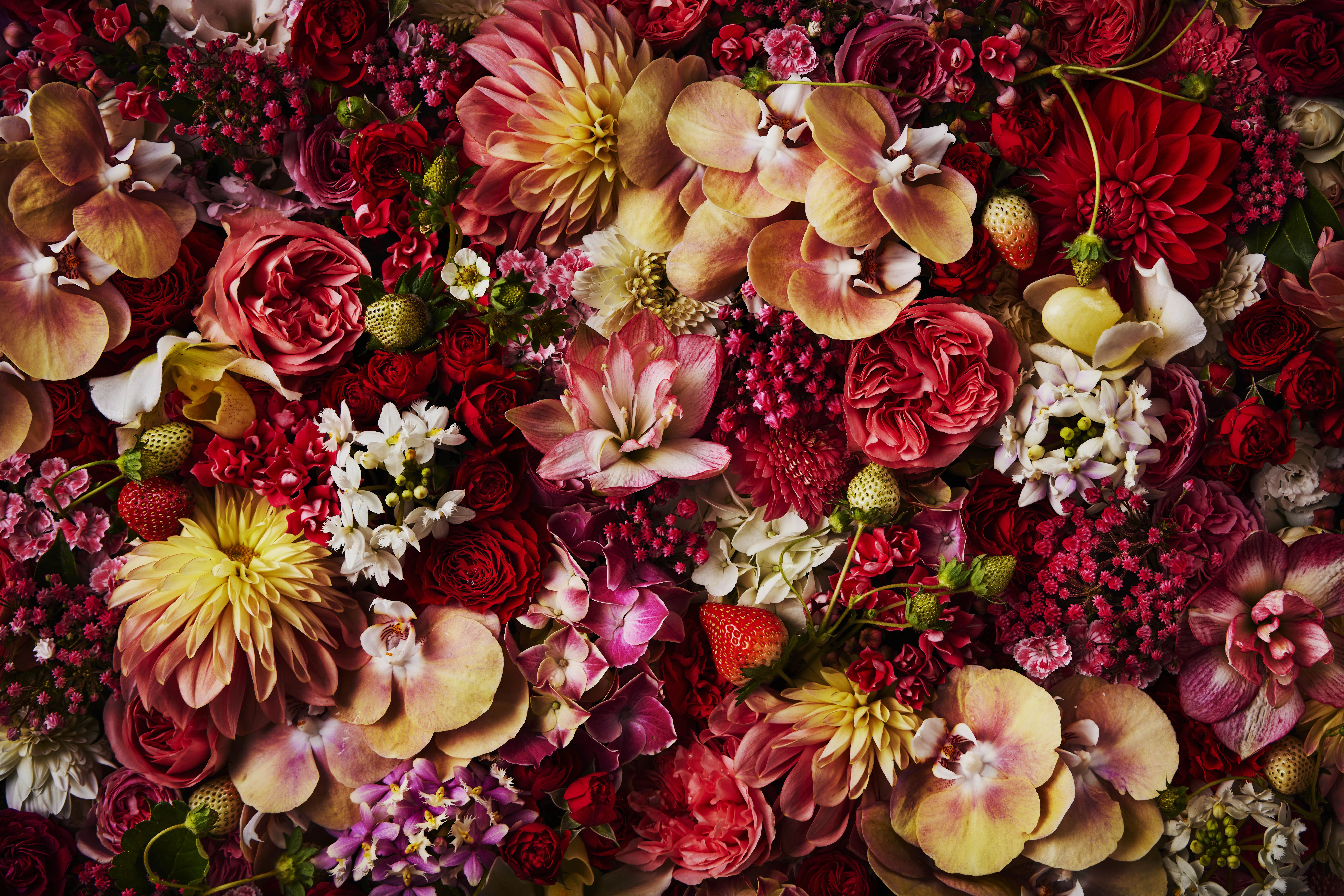 メインイメージPC