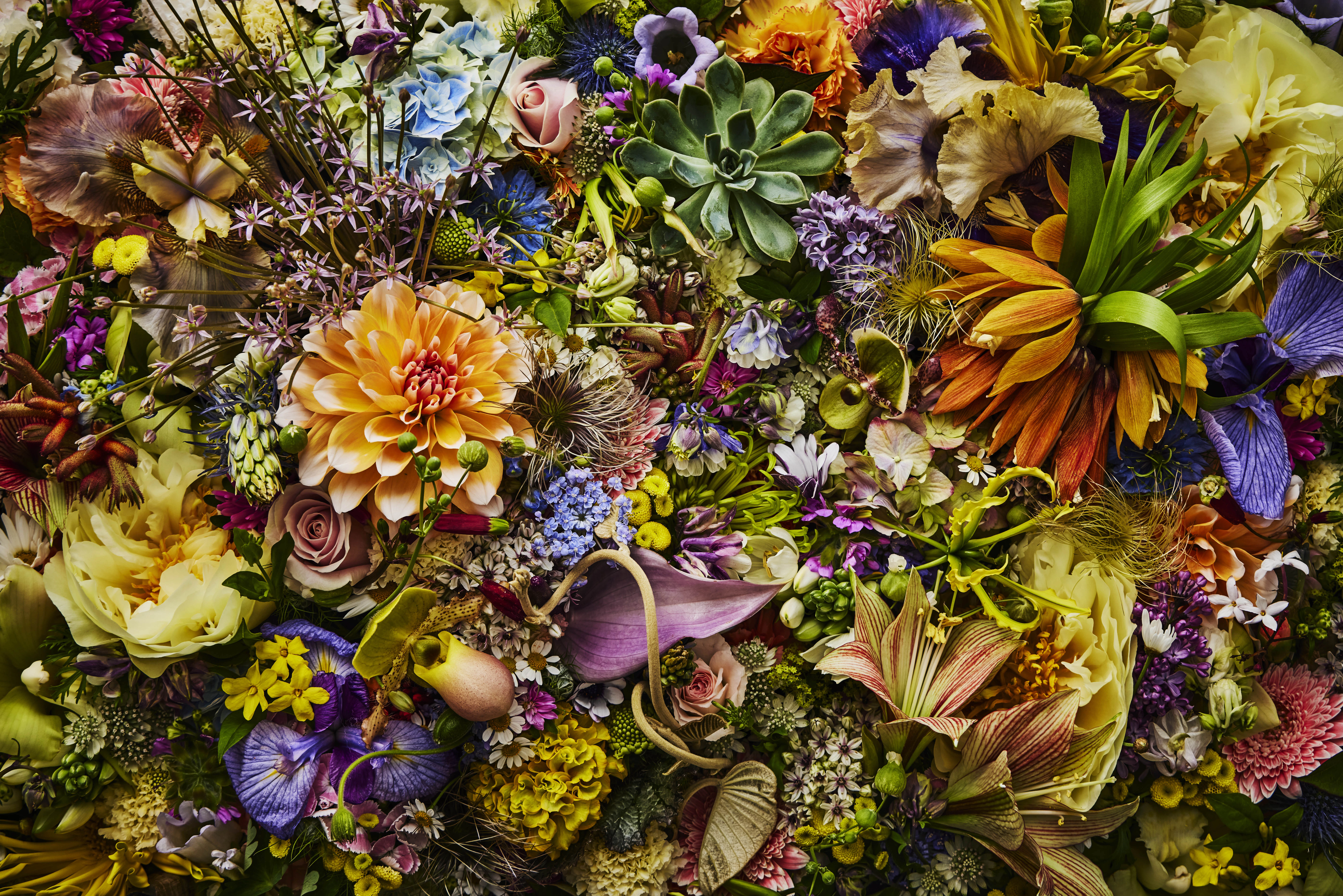 メインイメージSP