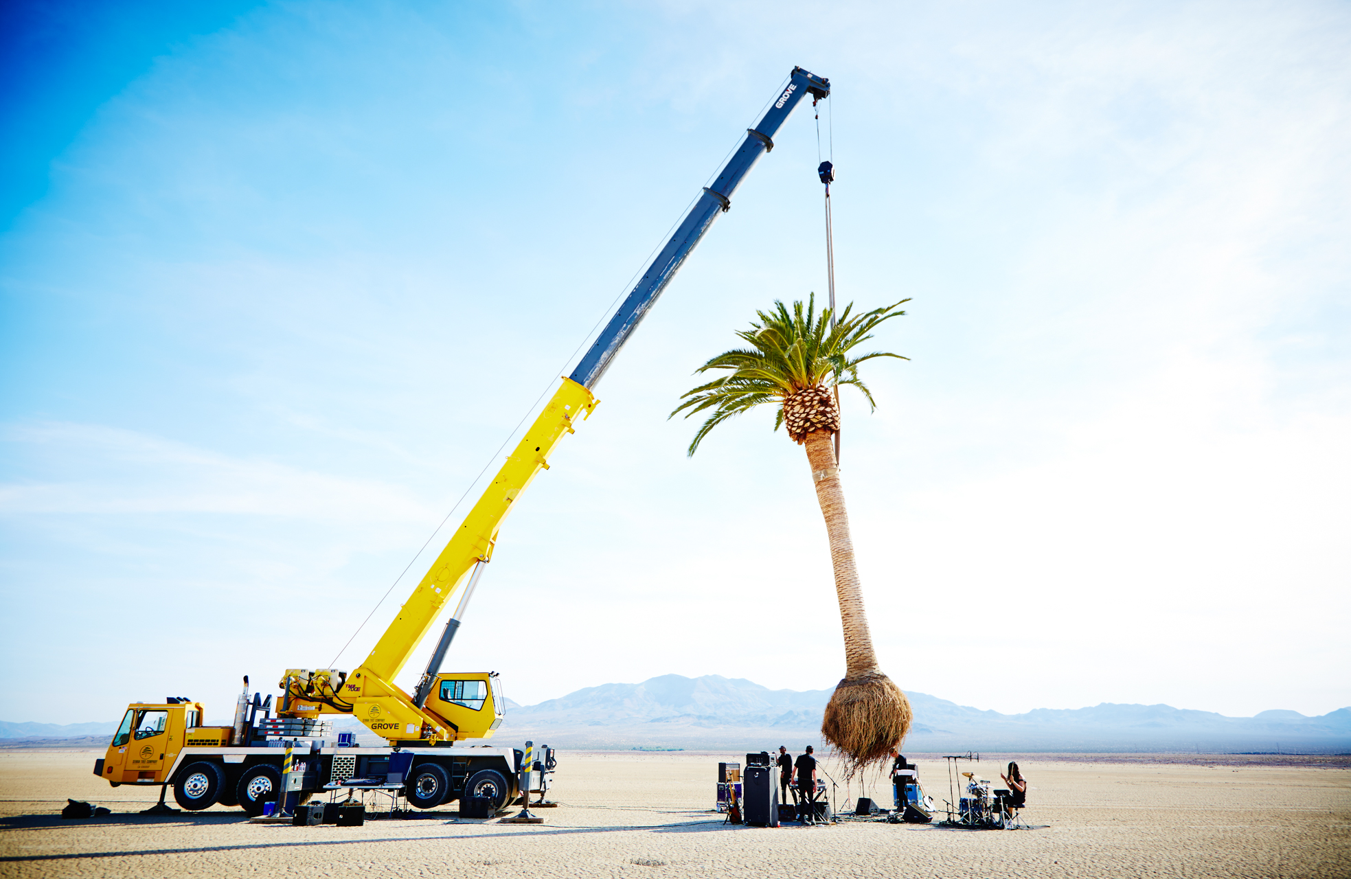 AZUMA MAKOTO BOTANICAL INSTALLATION 