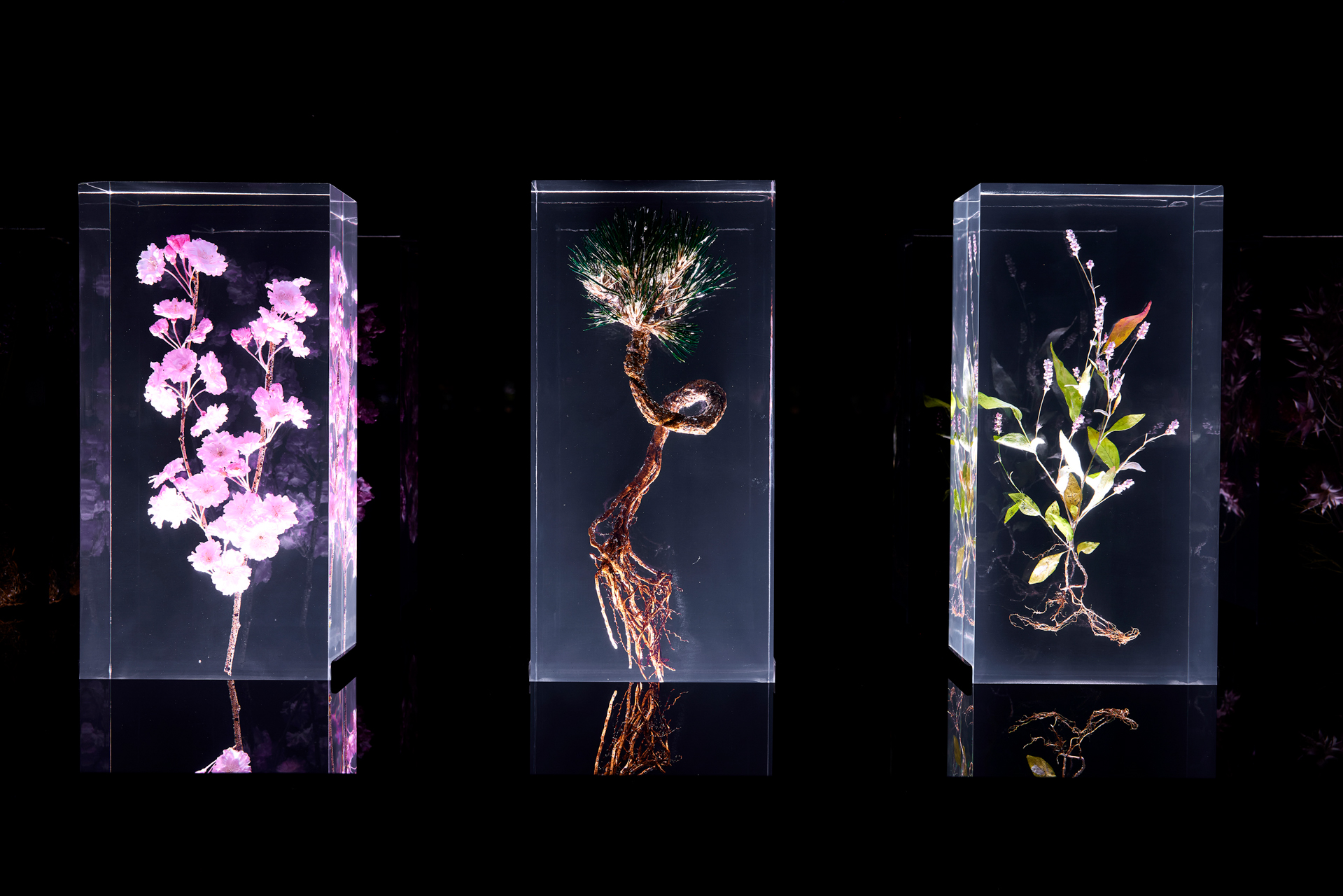 SF_Triennial_1503.jpg?fm=webp&