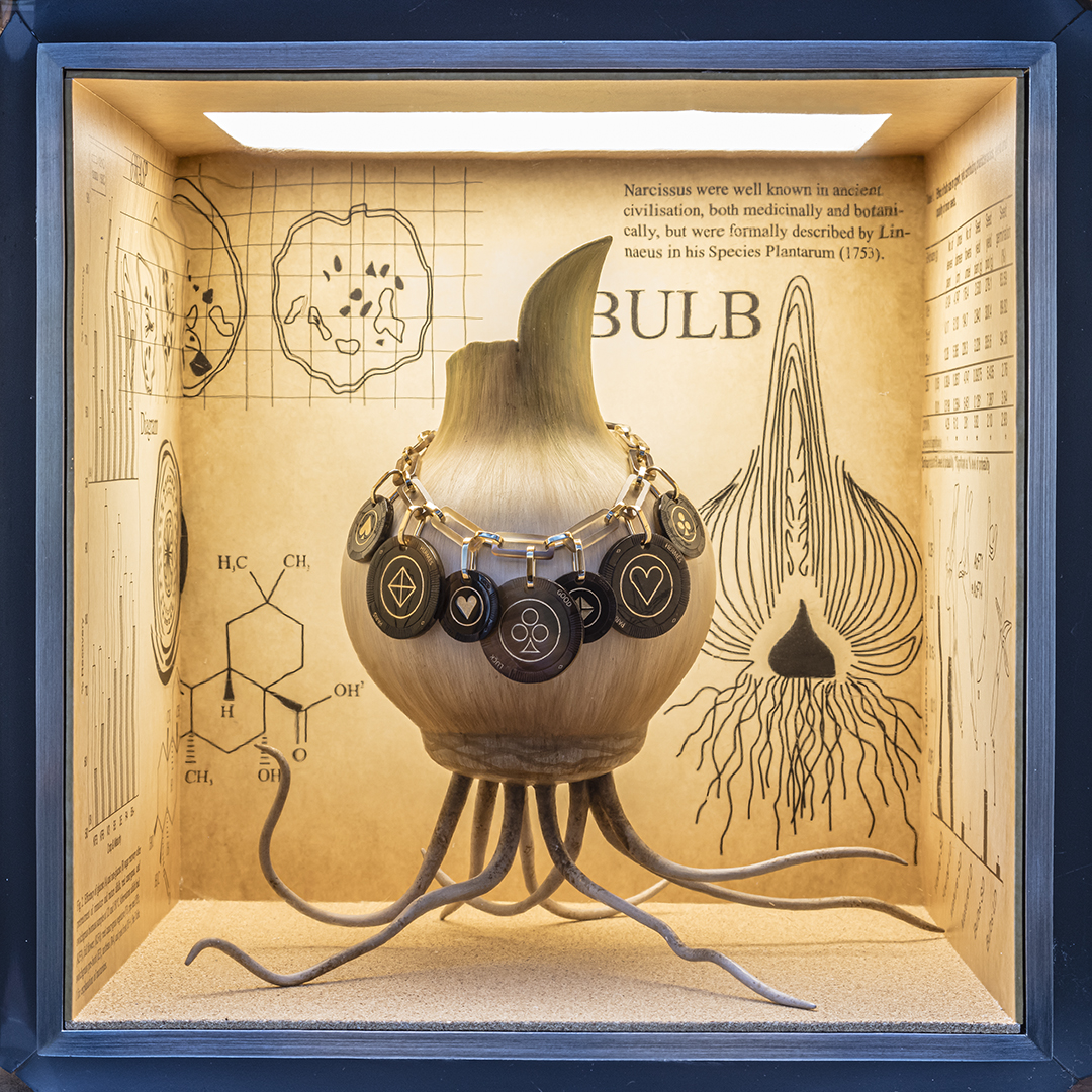 Window Display 「植物の謎」 The Botanic Enigma | AMKK（東信, 花樹