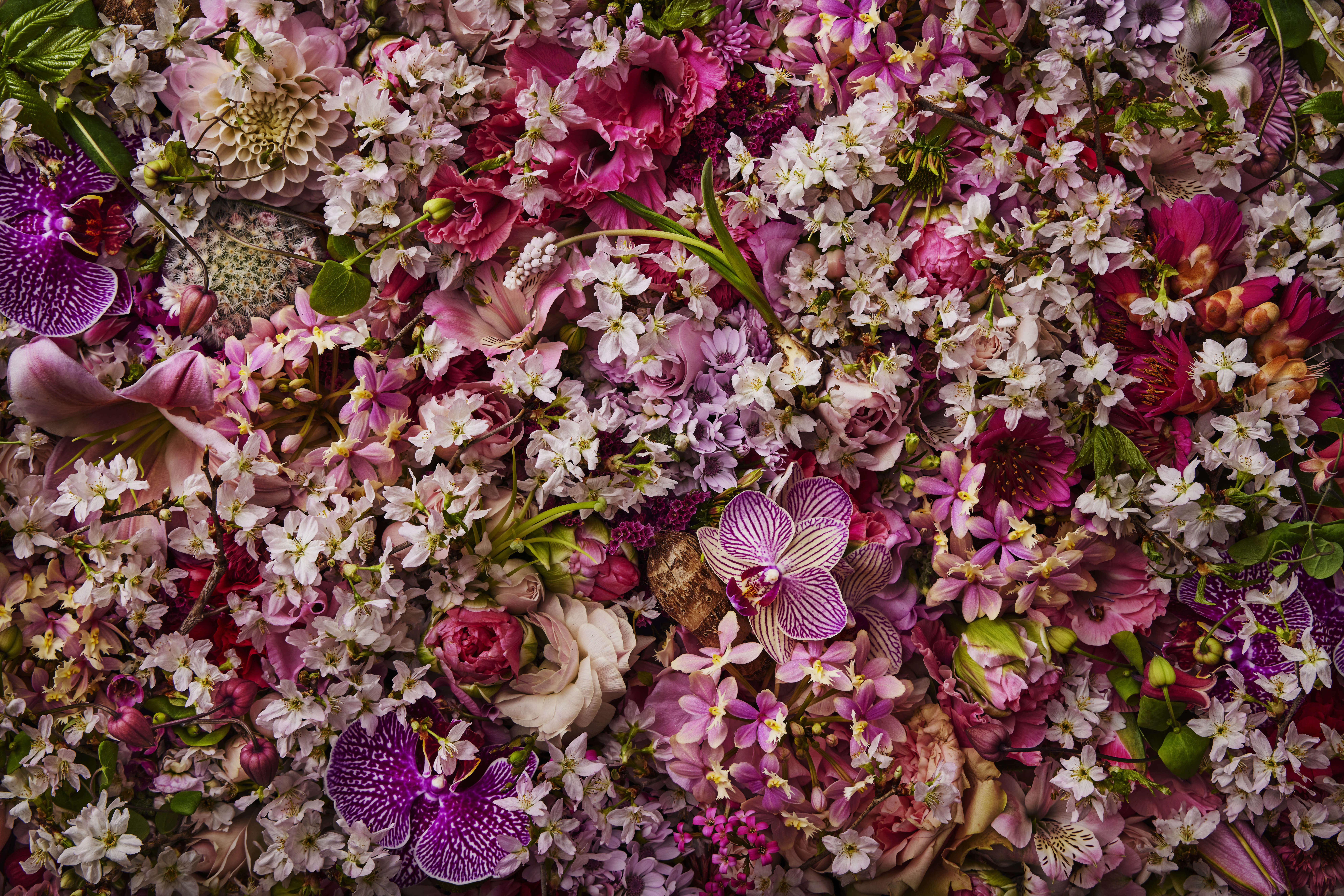 メインイメージPC