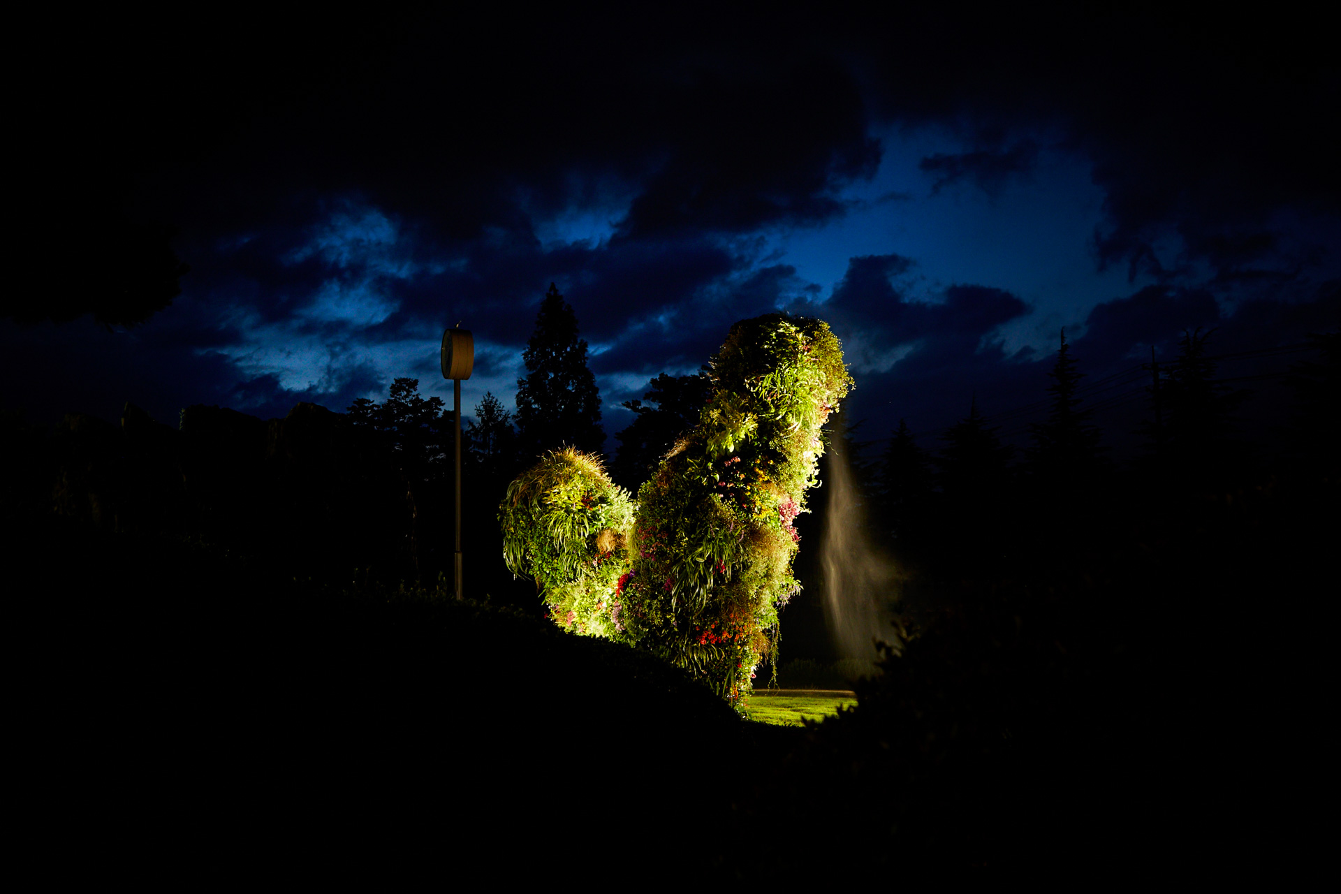 Botanical Sculpture, Fukushima Meisei High School | AMKK（東信, 花
