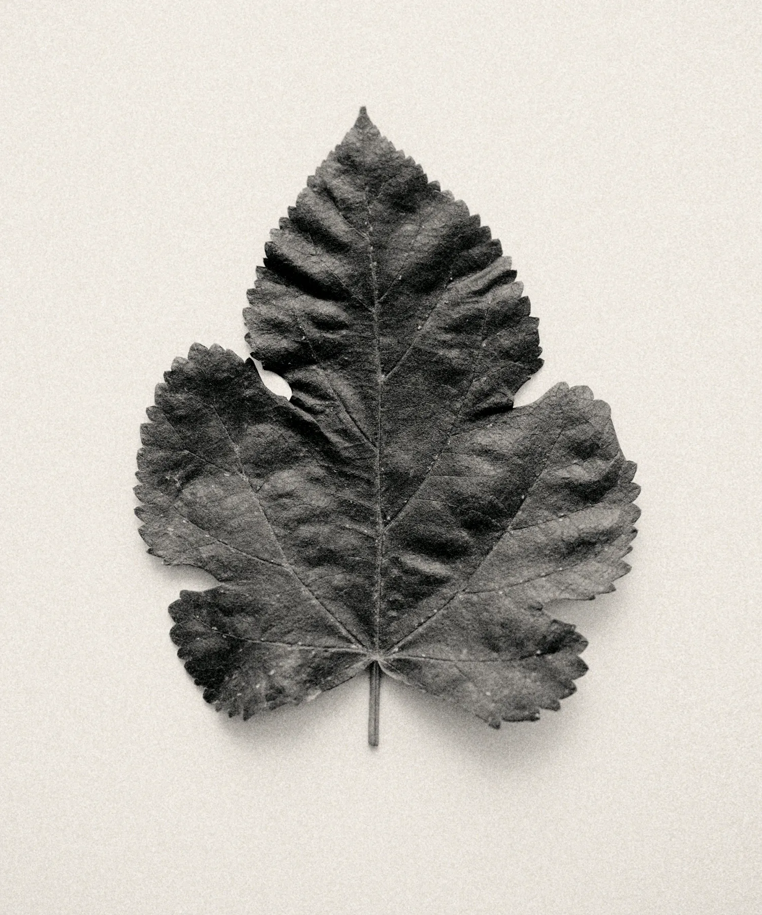 Woven Time, Embedded Memory