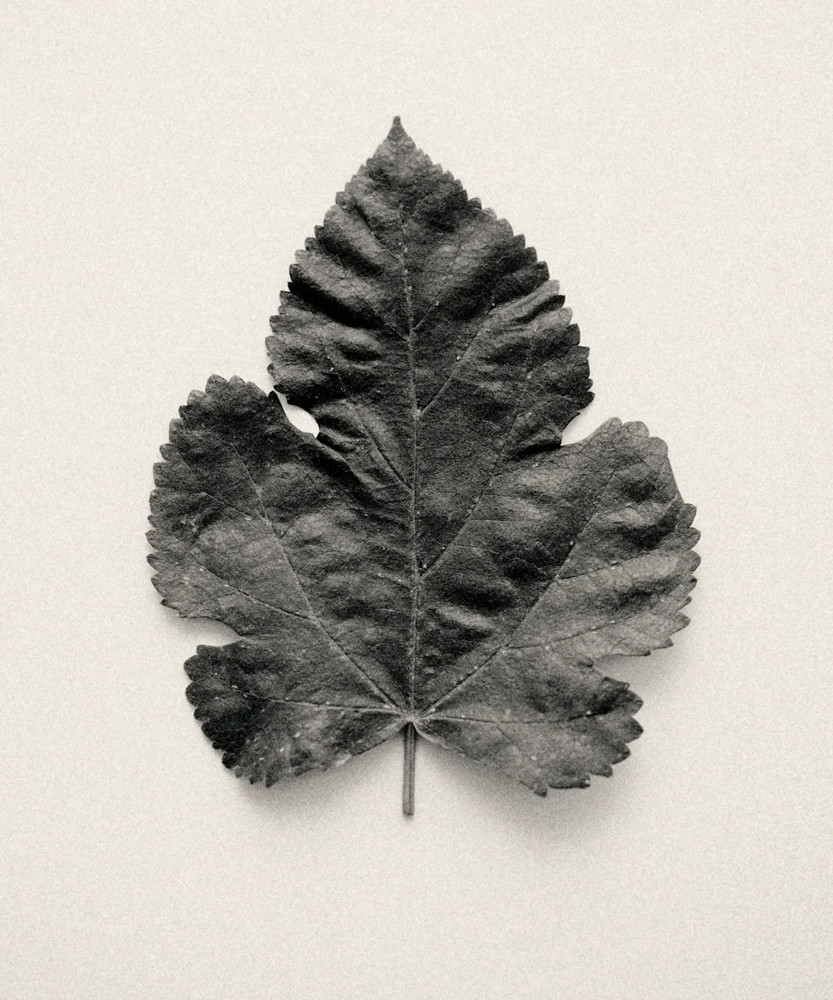 Woven Time, Embedded Memory