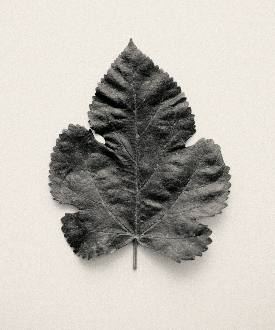 Woven Time, Embedded Memory