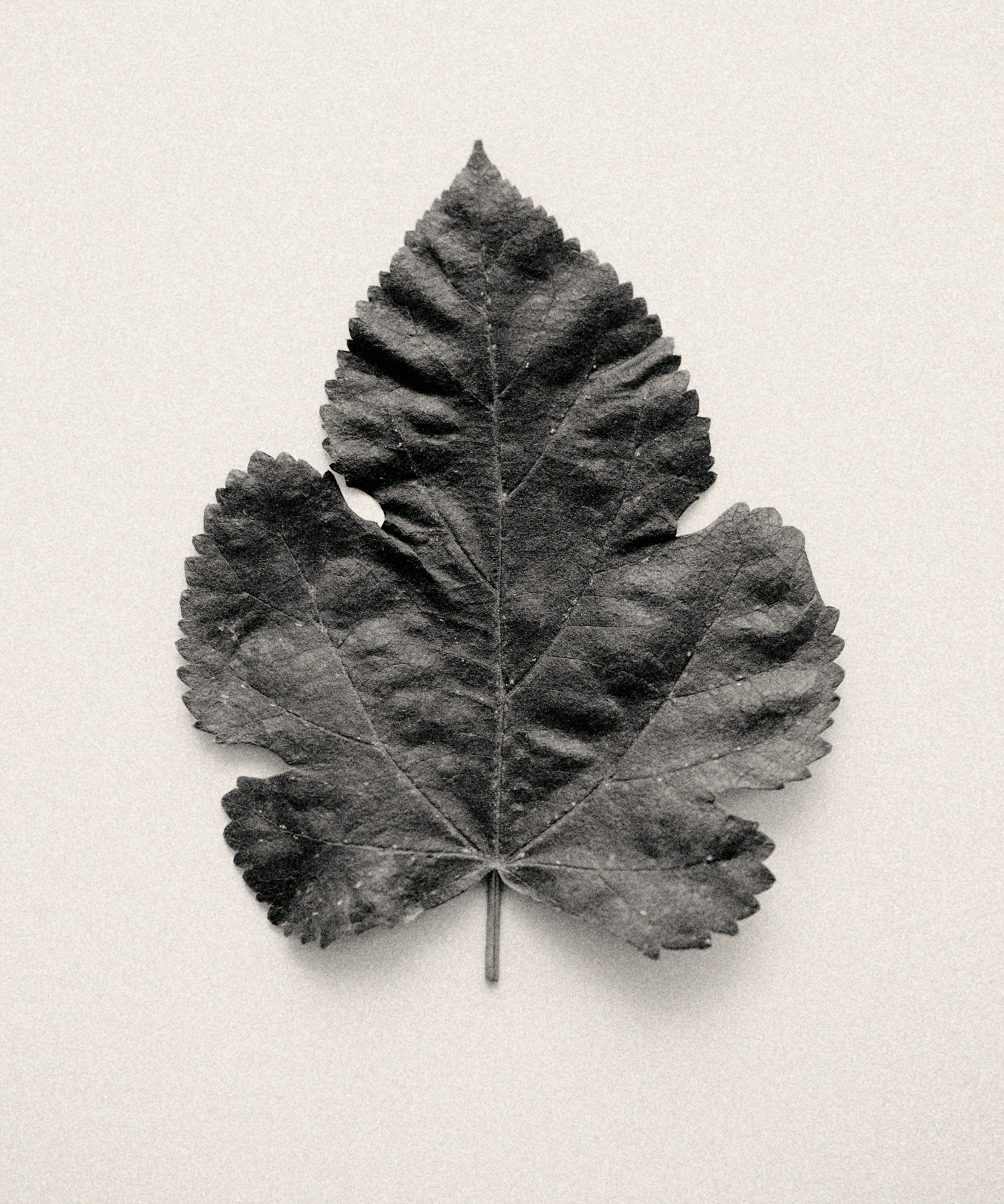 Woven Time, Embedded Memory main