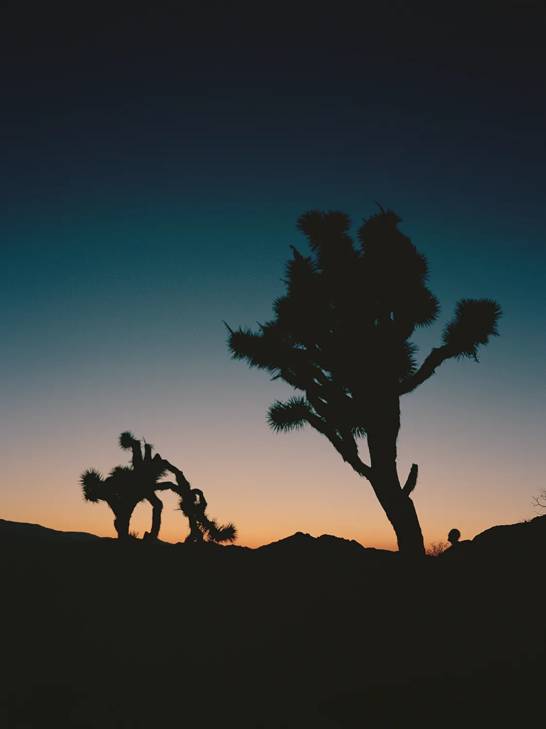 https://images.microcms-assets.io/assets/4f5f616d227143fdb0e66e836428c1db/94f961c478374ddeb49a0f09a950a6a9/53_sp01.webp