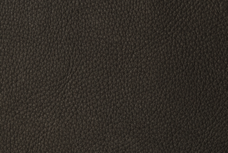 bullleather