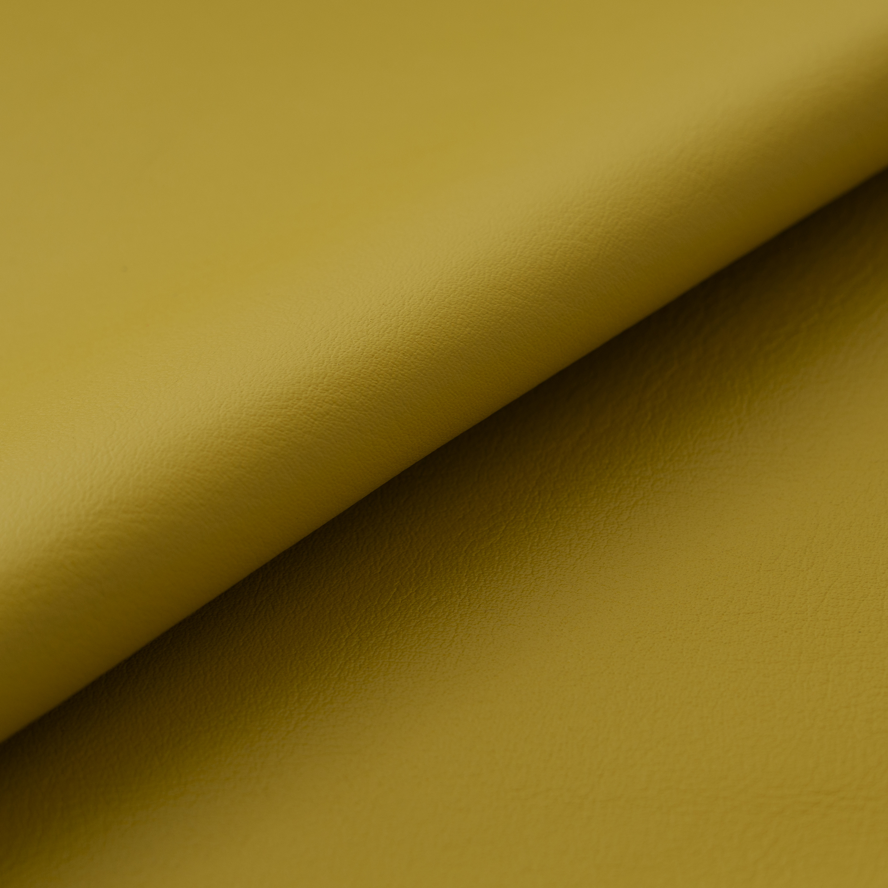 ウグイスのレザー画像1