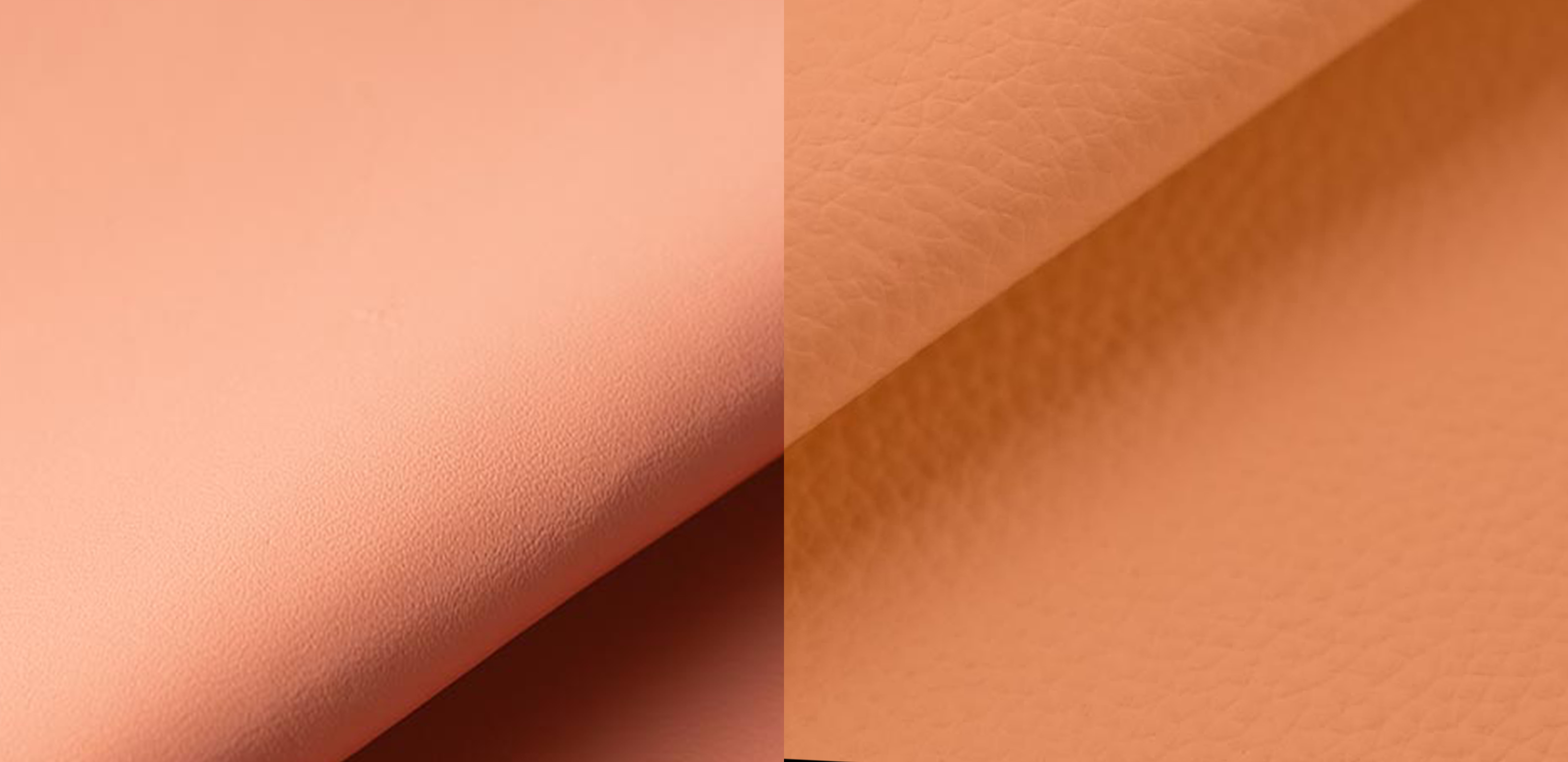 ピーチフィズ スライド 3