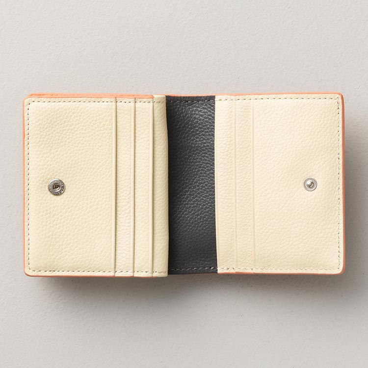 ポイントカラー使用参考画像2