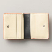 ポイントカラー使用参考画像2