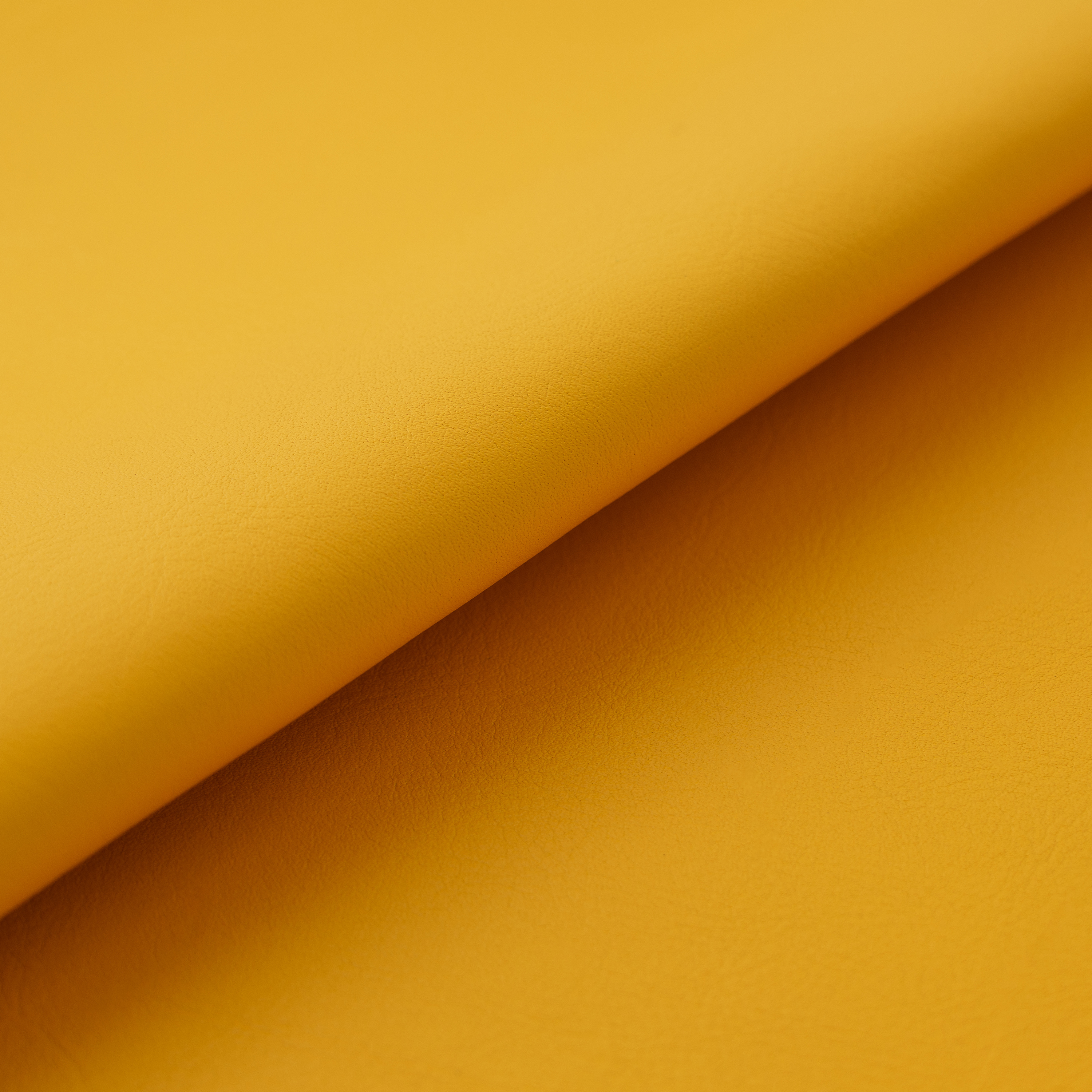 original_leatherハニービー