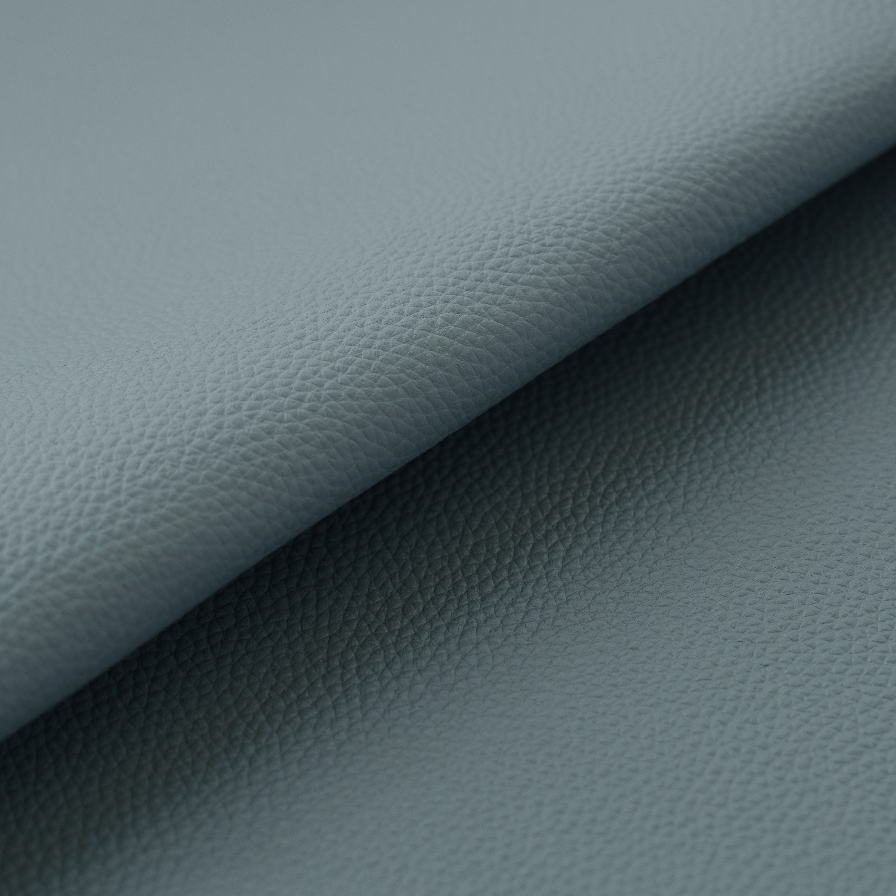 original_emboss_leatherブルーベルベット