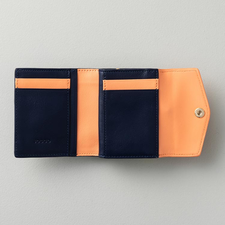 ポイントカラー使用参考画像2