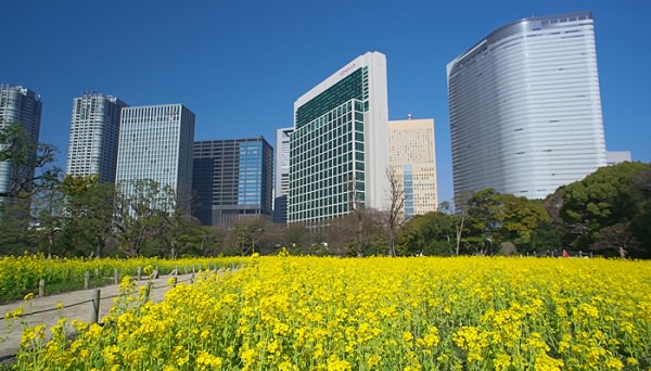 浜離宮恩賜庭園