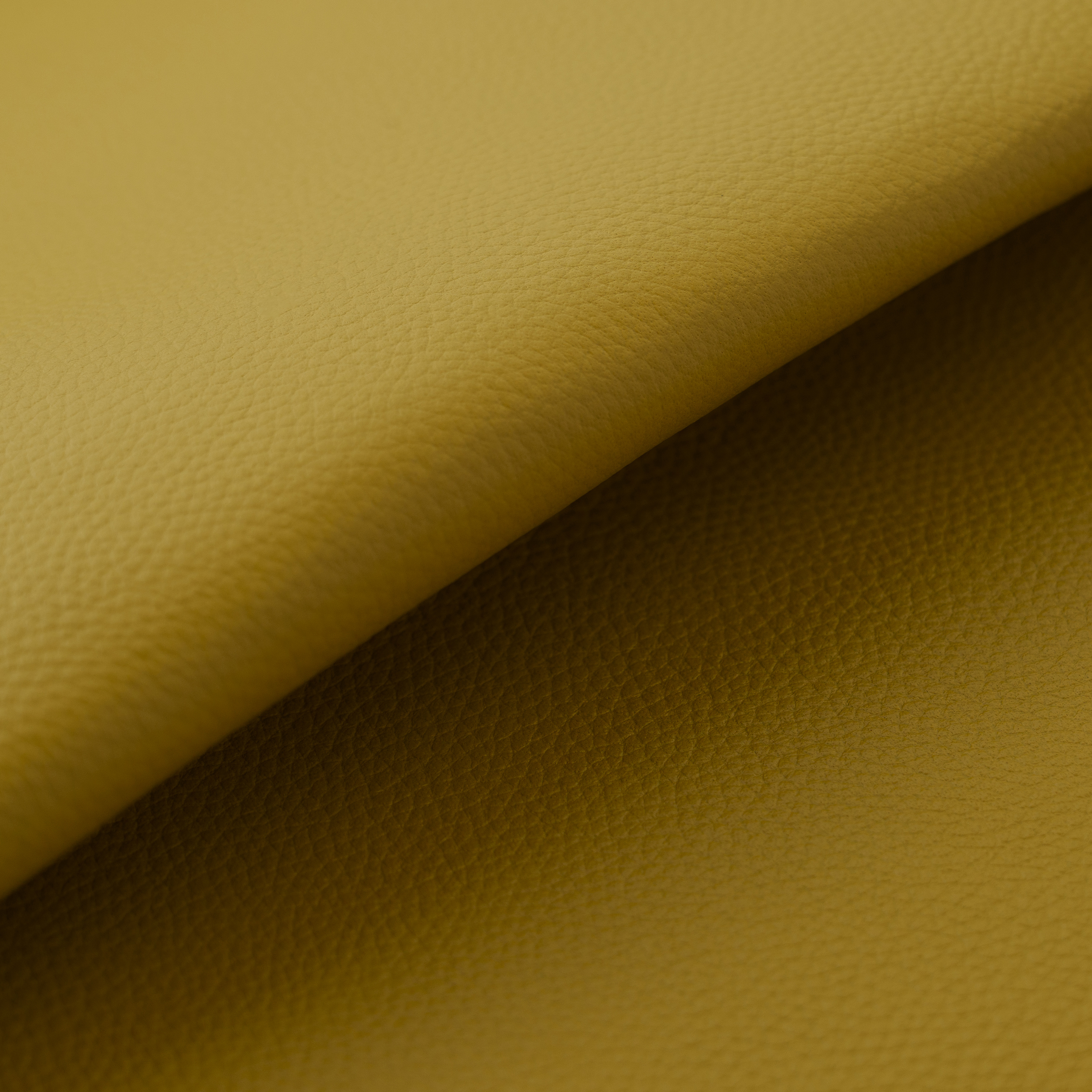 ウグイスのレザー画像2