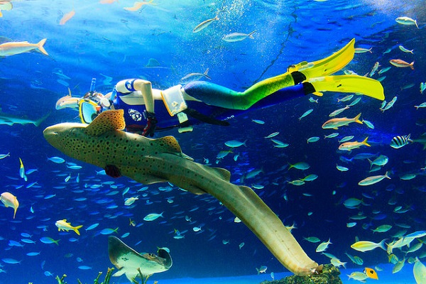 水族館