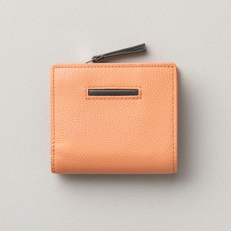 ポイントカラー使用参考画像1