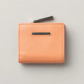 ポイントカラー使用参考画像1