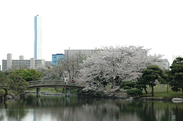 浜離宮恩賜庭園