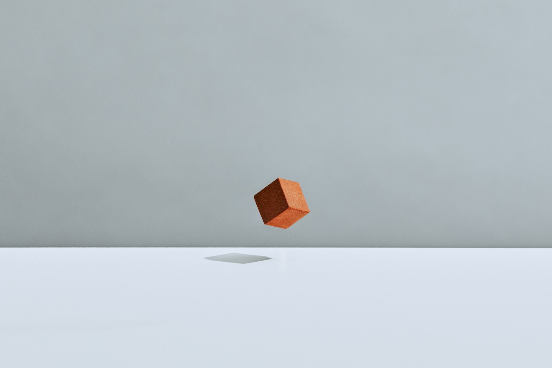 220725_cacao2249_R.jpg?w=450&h