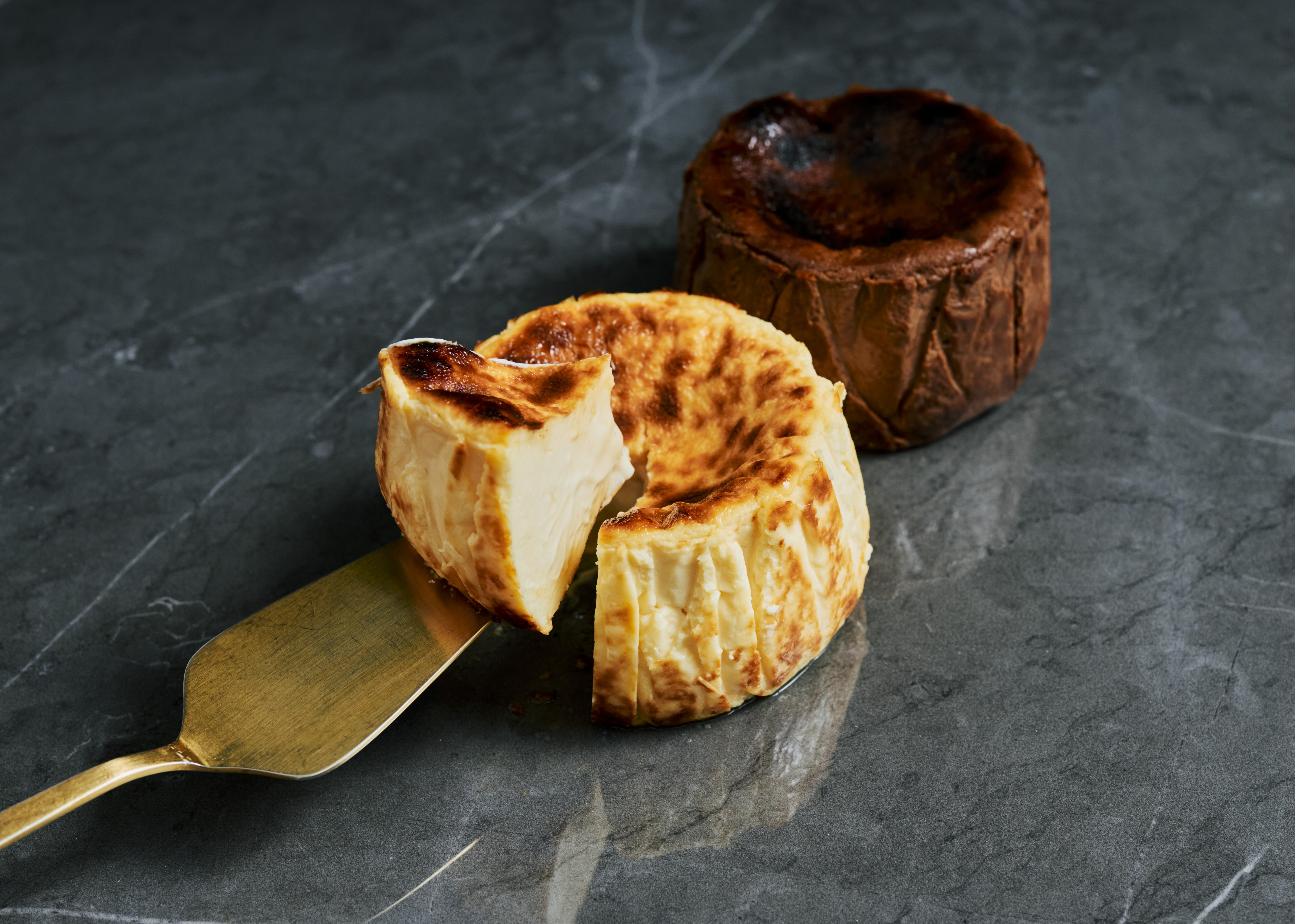 チョコレートバンクの2026年新コレクション【SAFARI】。コロンビアの