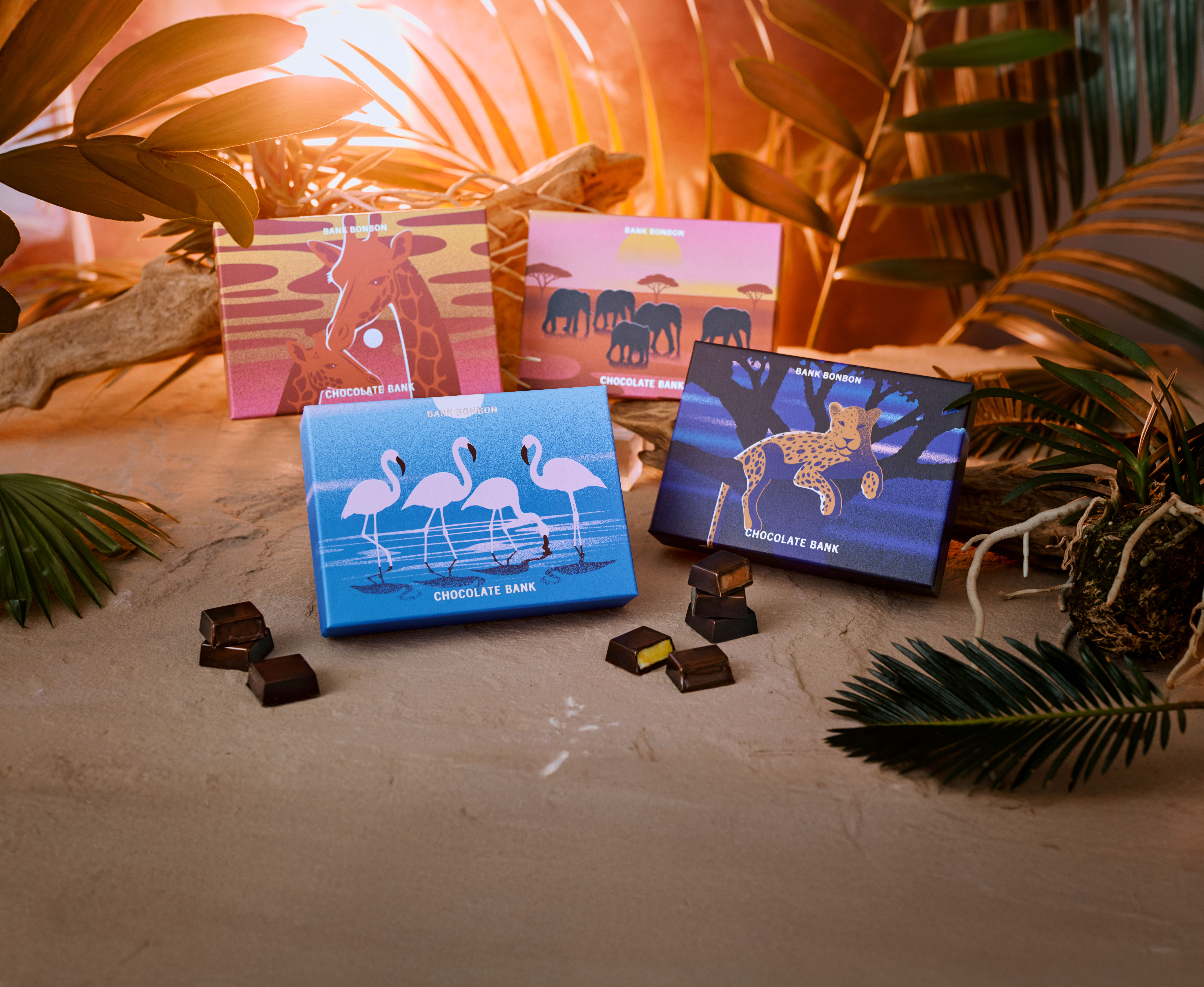 カカオ チョコレートバンクの2026年新コレクション【SAFARI】。コロンビアの