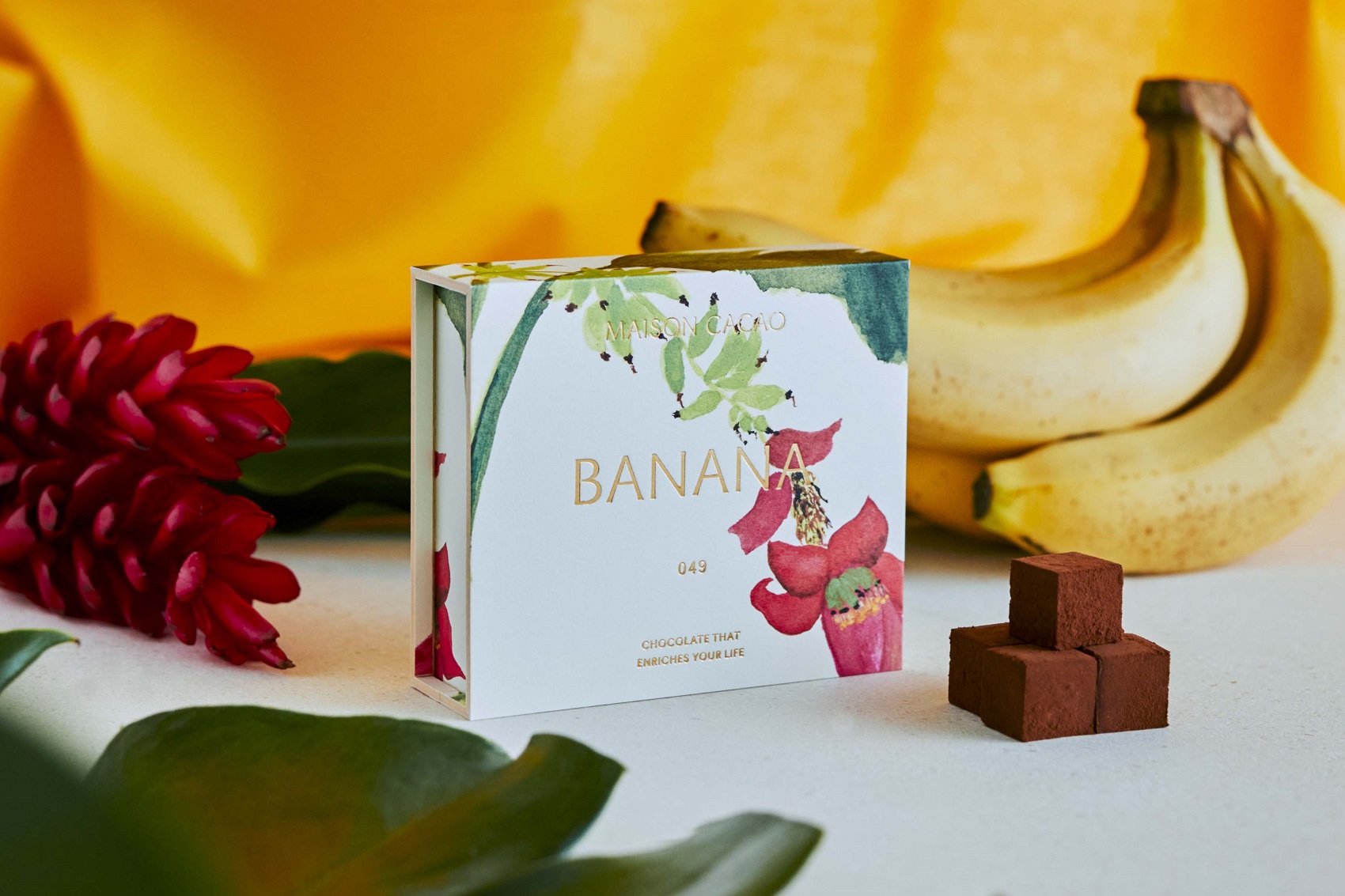 230331_cacao3973.jpg?w=450&h=